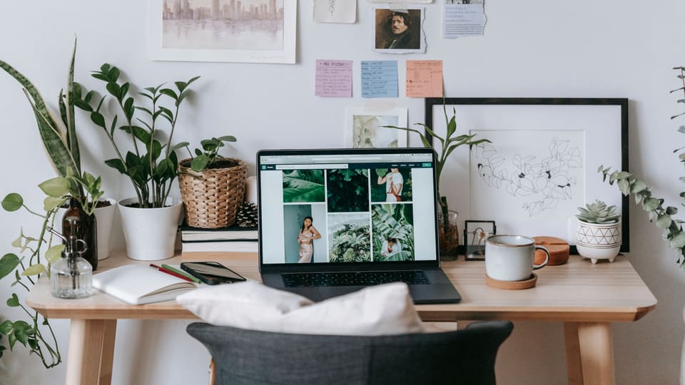 Modern workplace with netbook and cellphone on opened notepad on table with different potted plants